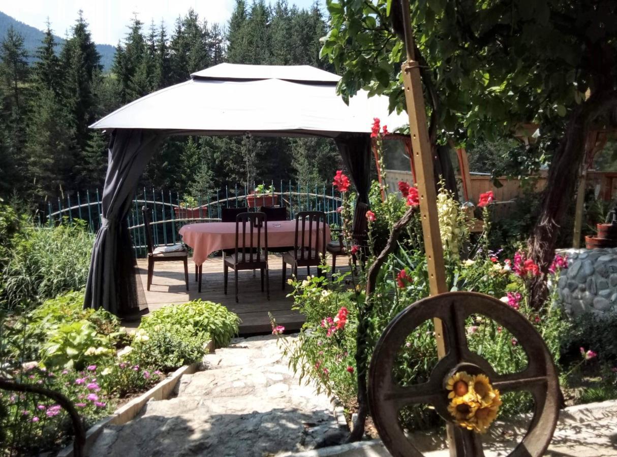 Guest House Milka Yagodina Dış mekan fotoğraf
