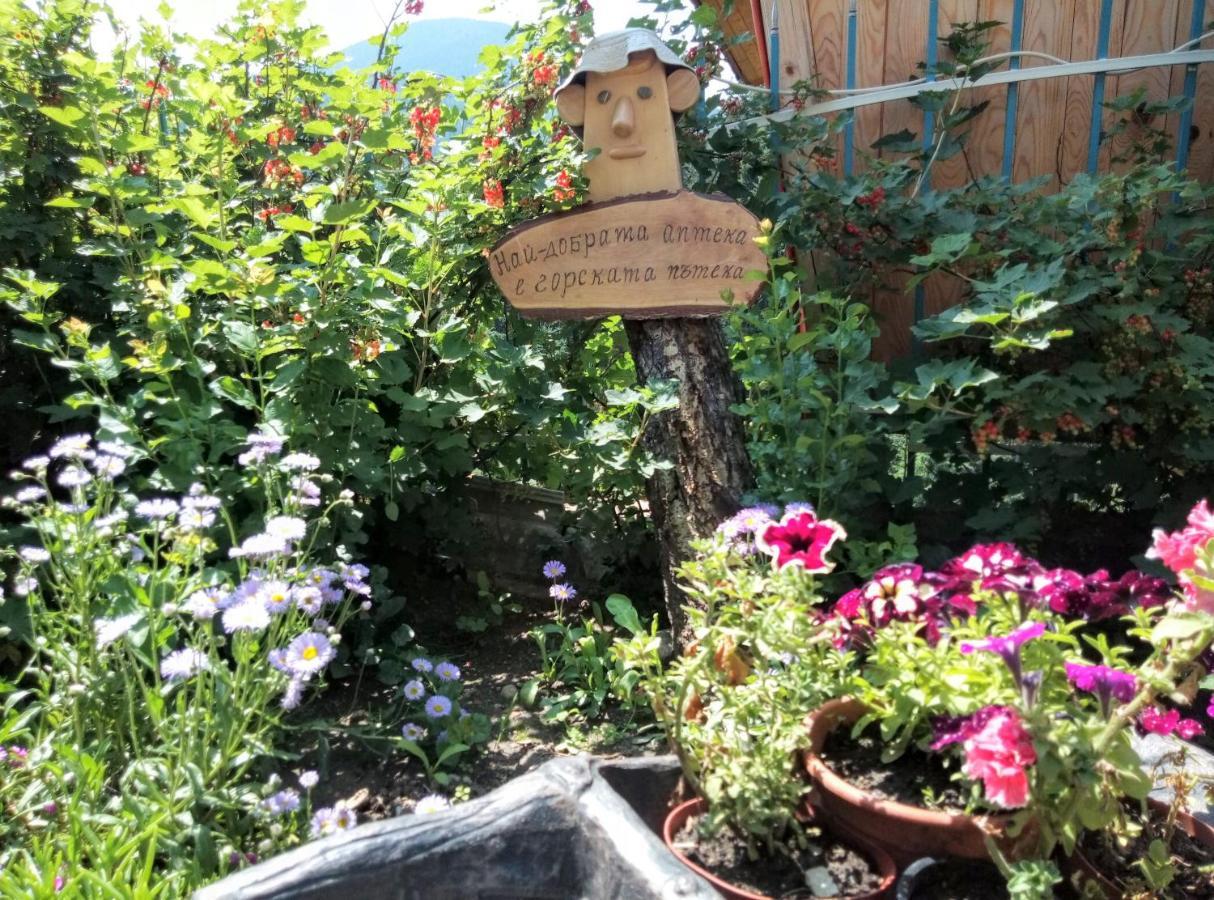 Guest House Milka Yagodina Dış mekan fotoğraf