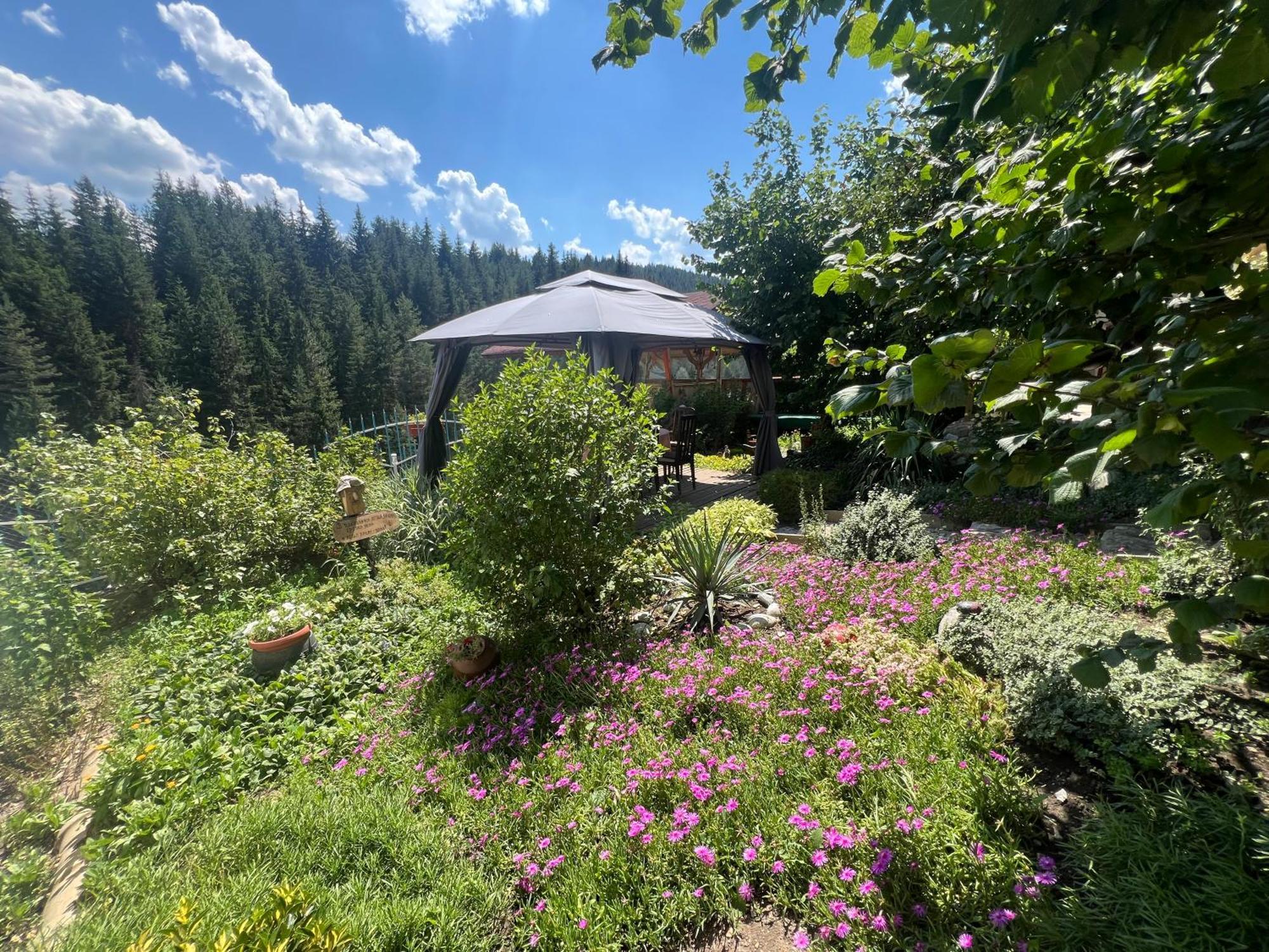 Guest House Milka Yagodina Dış mekan fotoğraf