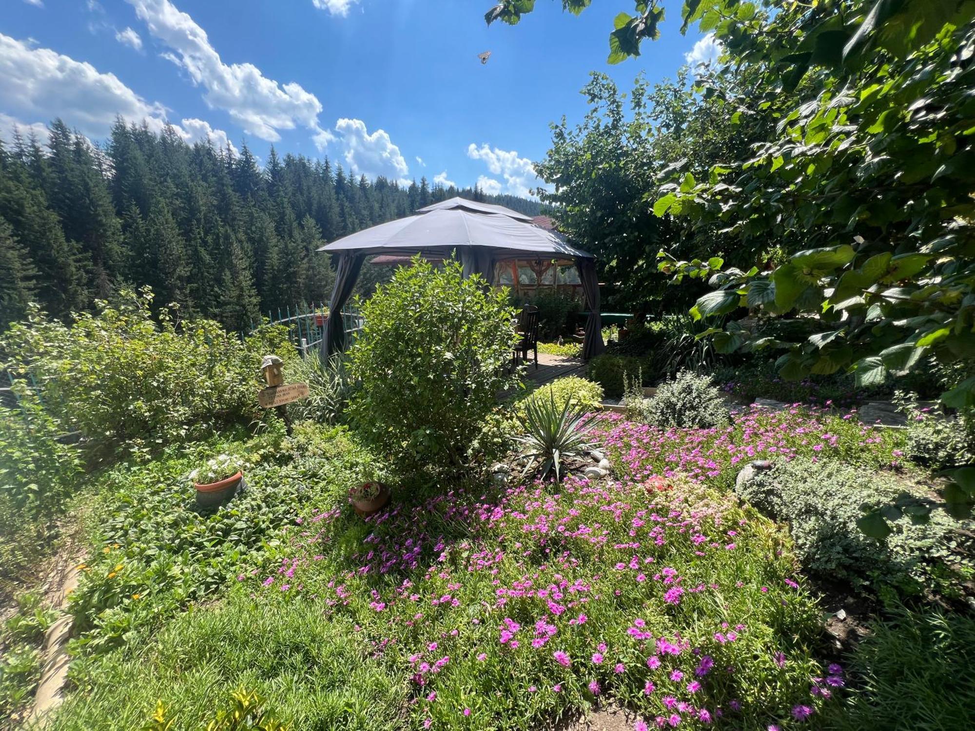 Guest House Milka Yagodina Dış mekan fotoğraf